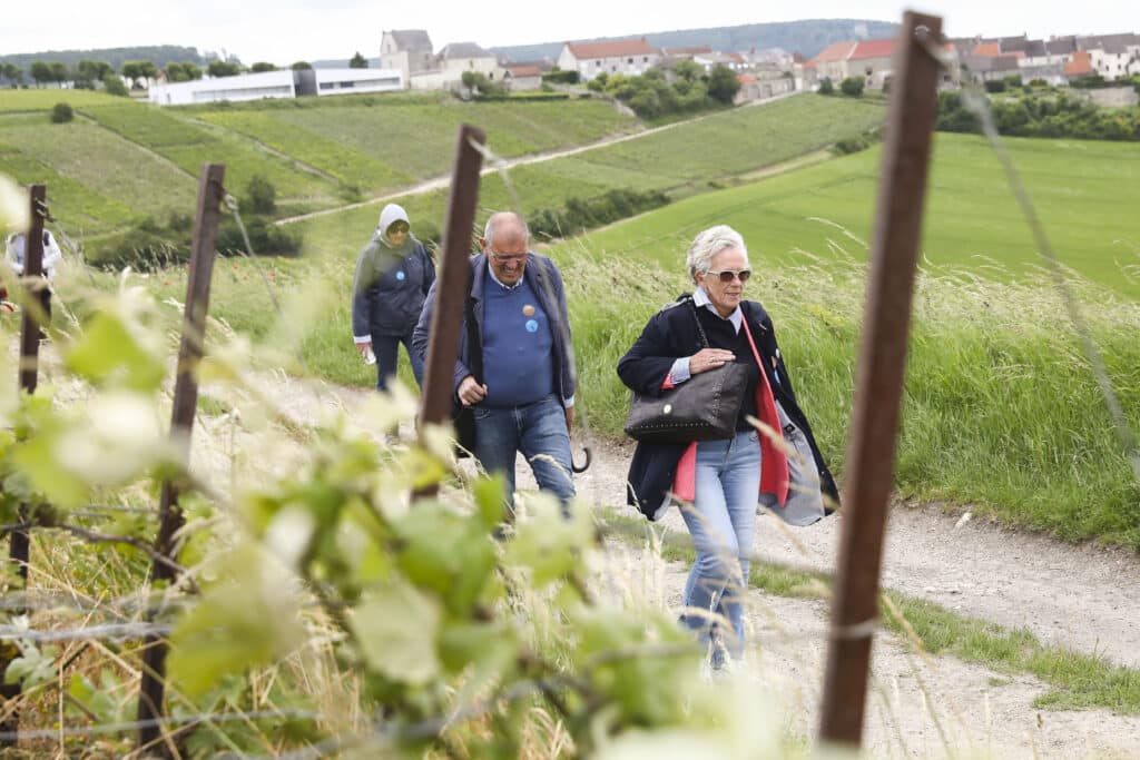Balade dans les vignes près de Dormans
