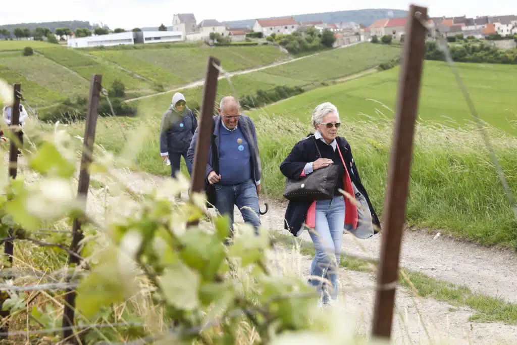 Balade dans les vignes près de Dormans
